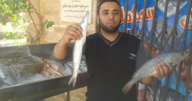 بالفيديو والصور.. تموين الوادى الجديد يجرى حملات على محلات الأسماك فى شم النسيم 