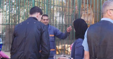 بالفيديو والصور.. إقبال على حديقة الحيوان بالإسكندرية احتفالاً بشم النسيم 