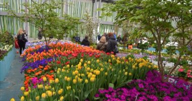 الزراعة: تأجيل الافتتاح الرسمى معرض زهور الربيع بحديقة الأورمان بسب سوء الطقس
