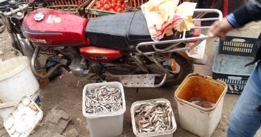 بالصور.. ضبط أسماك ومنتجات غذائية فاسدة بمركز أهناسيا فى بنى سويف