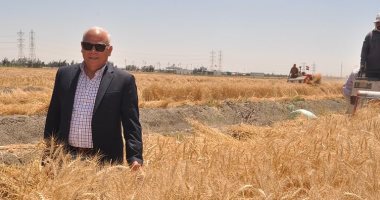 بالفيديو.. محافظ بورسعيد يشهد موسم حصاد القمح ويشيد بالتنمية الزراعية