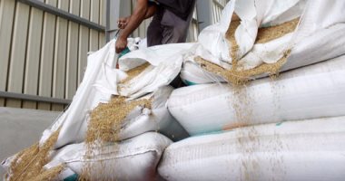 محافظ البحيرة : حظر نقل القمح خارج حدود المحافظة وعقوبة تنتظر المخالفين