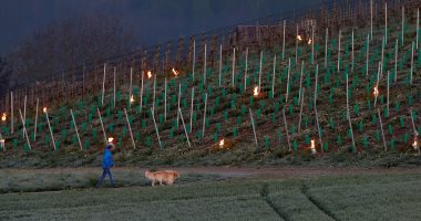 بالصور.. مزارعون بسويسرا يلجأون لإشعال النار لحماية نبات العنب من التجمد