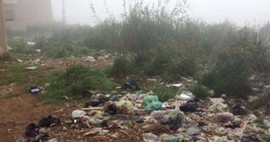 بالفيديو والصور.. أزمة فى المياه والكهرباء بقرية القصاصين فى الإسماعيلية 