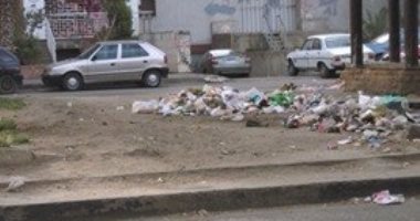 قارئ يطالب بتوفير صناديق لجمع القمامة فى شارع جسر السويس