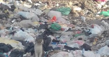 بالصور.. انتشار القمامة فى منطقة مسابك بشتيل بالجيزة