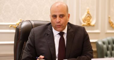 رئيس اللجنة الاقتصادية: رؤوس الأموال العربية والأجنبية تنتظر قانون الاستثمار
