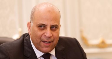نائب رئيس "دعم مصر": فريق من النواب حاول إثبات أنه يمتلك صكوك الوطنية