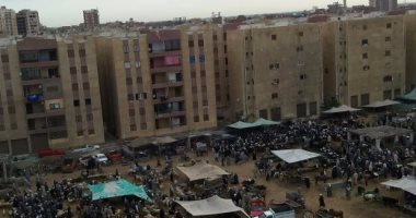 بالصور.. "سوق مواشى" يهدد صحة مواطنى مدينة ديرب نجم فى الشرقية