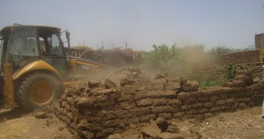 مدرس بزراعة دمنهور: مليون و900 ألف حالة تعد على الأراضي شهدتها مصر في 10 سنوات