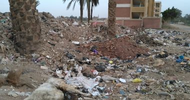 بالصور .. القمامة والحيوانات النافقة تحاصر مدرستى الحما بسوهاج