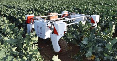 Thorvald روبوت جديد سيعمل بالزراعة بدلاً من الفلاحين خلال 10 سنوات