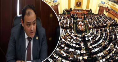رئيس "صناعة" البرلمان تعليقا على إيقاف استيراد الغاز: يوم فارق فى تاريخ مصر
