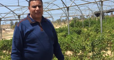 بالفيديو.. "زراعة شمال سيناء" تطرح كميات من الخضار للأهالى بسعر التكلفة