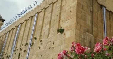 بالصور.. مستوطنون يرفعون العلم الإسرائيلى على الحرم الإبراهيمى