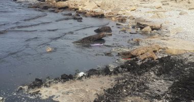 بالفيديو والصور.. "اليوم السابع" يرصد بقعة بترولية في مياه شاطئ بور سعيد