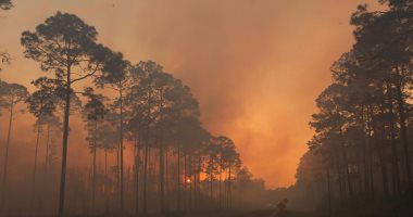 بالصور.. النيران تلتهم غابات ولاية جورجيا الأمريكية