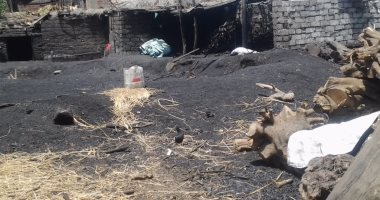 52 مكمورة فحم بقرية قرانشو بالغربية تتتحدى قانون البيئة