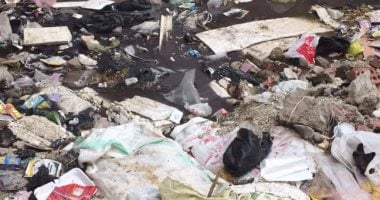 قارئ يشكو تراكم القمامة بقطعة أرض فضاء بشارع حسين غالب فى المنصورة