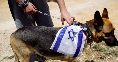 فى الذكرى الـ 69 للاحتلال.. علم "إسرائيل" على كلب فى الأراضى المحتلة
