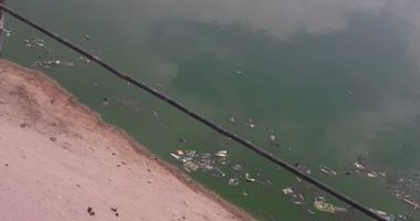 بالصور.. ملعب مركز شباب درشاى بالبحيرة يغرق فى مياه الصرف الصحى