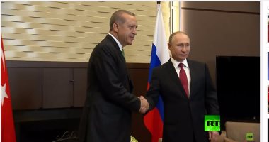 إردوغان سيبحث الأزمة السورية مع بوتين الأسبوع المقبل