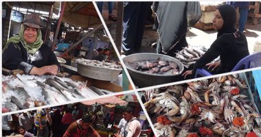 غرفة القاهرة التجارية: الإنتاج السمكى يغطى احتياجات السوق حتى نهاية رمضان