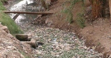 القمامة والحيوانات النافقة تحاصر مصرف "الشواولة" فى سوهاج