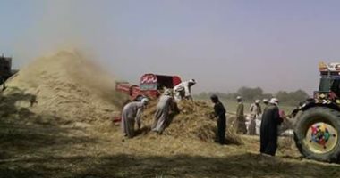 زراعة كفر الشيخ: إزالة 140 حالة تعدٍ وبدء زراعة المحاصيل الصيفية
