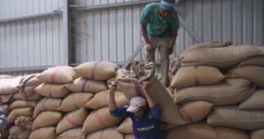 رصيد صومعة الحبوب والغلال للقطاع العام من القمح 56268 طنًا بميناء دمياط