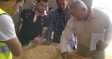 محافظ قنا : توريد 69 ألف و 73 طن من القمح للشون والصوامع 