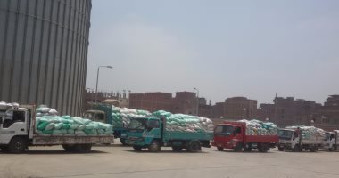 "زراعة المنوفية": توريد القمح لـ7 هناجر موزعة على مراكز المحافظة
