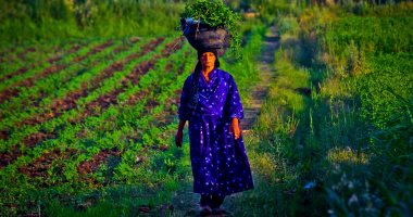 "باب رزق" لدعم المرأة الصعيدية.. البنك الزراعى يكشف تفاصيل المبادرة 
