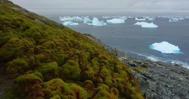 باحثون يطورون نموذجا ذكيا للتنبؤ بما سيحدث لأنتاركتيكا بسبب تغير المناخ  