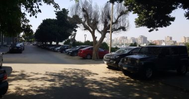 مواطن يشكو من ركن السيارات فوق الرصيف فى شارع أل سعود بالمنيل 
