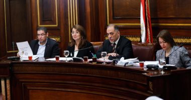 أمين "تضامن البرلمان": التصديق على قانون الجمعيات الأهلية نجاح كبير لمصر