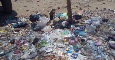 مواطن بالبحيرة يناشد المسئولين برفع القمامة من قرية البريجات