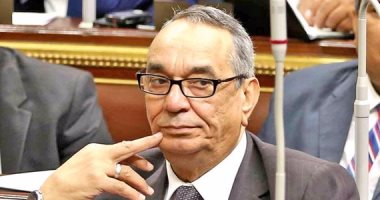 نائب بـ"دفاع البرلمان": مصر تلعب دورا مهما فى حماية العرب من خطر الإرهاب