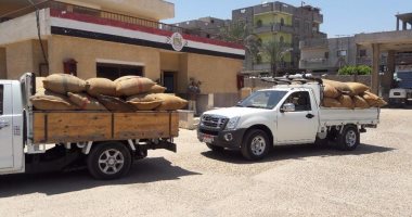 توريد 7500 طن قمح في مضرب الأرز بدمياط 