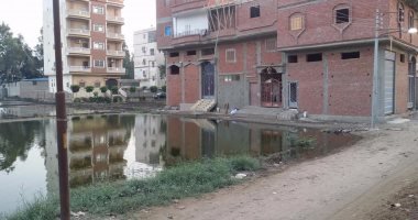 بالصور.. غرق شوارع محلة أبو على بالصرف الصحى ونائب الدائرة يتدخل لحل الأزمة