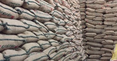 صناعة الحبوب: توريد 100 ألف طن أرز شهرياً لوزارة التموين