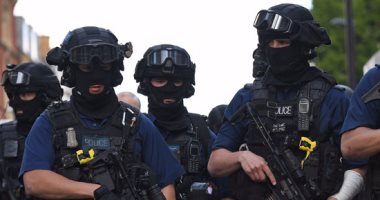بومة تعطل اتصالات الشرطة البريطانية جنوب غرب انجلترا