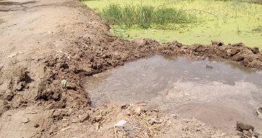 بالصور.. مياه الصرف الصحى تهدد الأراضى الزراعية فى منشأة صبرى بالمنوفية