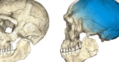 بالصور.. اكتشاف عظام إنسانية يعود تاريخها إلى 300 ألف سنة فى كهف بالمغرب