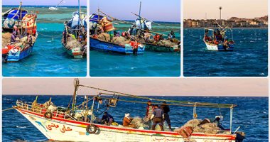 نقيب الصيادين بالسويس: نؤيد وقف التنزه بالخليج وانطلاق الصيد 15 سبتمبر