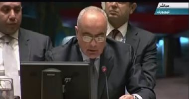 السفير عمرو أبو العطا: حل القضية الفلسطينية الأساس لتحقيق الأمن والسلام بالمنطقة