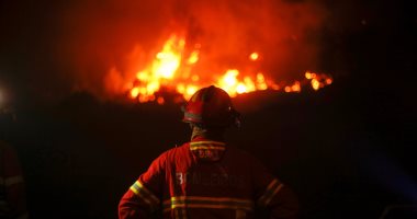  استمرار حرائق الغابات فى البرتغال.. والنيران تلتهم مئات الأفدنة 