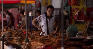 بالصور.. انطلاق مهرجان أكل لحوم الكلاب فى الصين