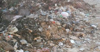 بالصور .. انتشار كبير للقمامة داخل الكتلة السكنية فى قرية العجيزى الغربية