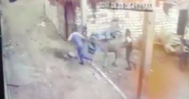 بالفيديو..قارئ يشارك بفيديو لسرقة المواشى بعزبة طاحون فى دمياط